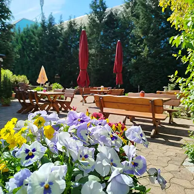 Hotel & Cafe Zum grünen Baum