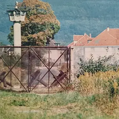Geschichte vom grünen Baum Sonneberg